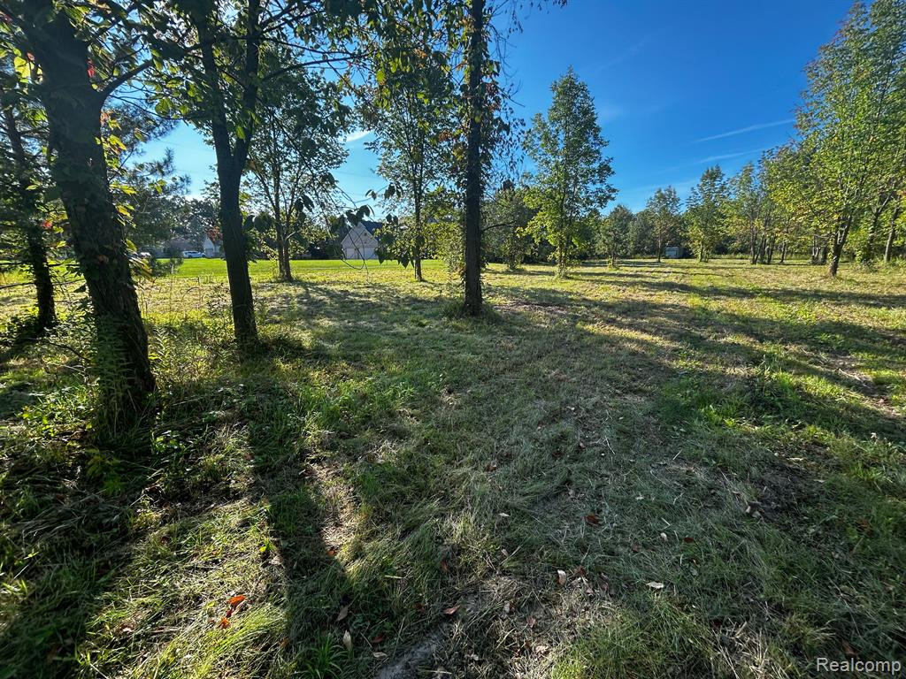 7202 E MAPLE Avenue, Grand Blanc, MI 48439 — Photo 4