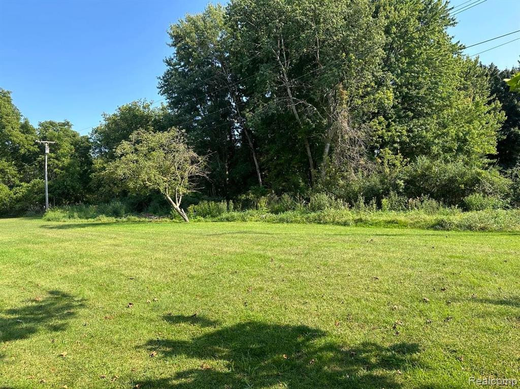 675 ALLAN, Bad Axe, MI 48413 — Photo 4