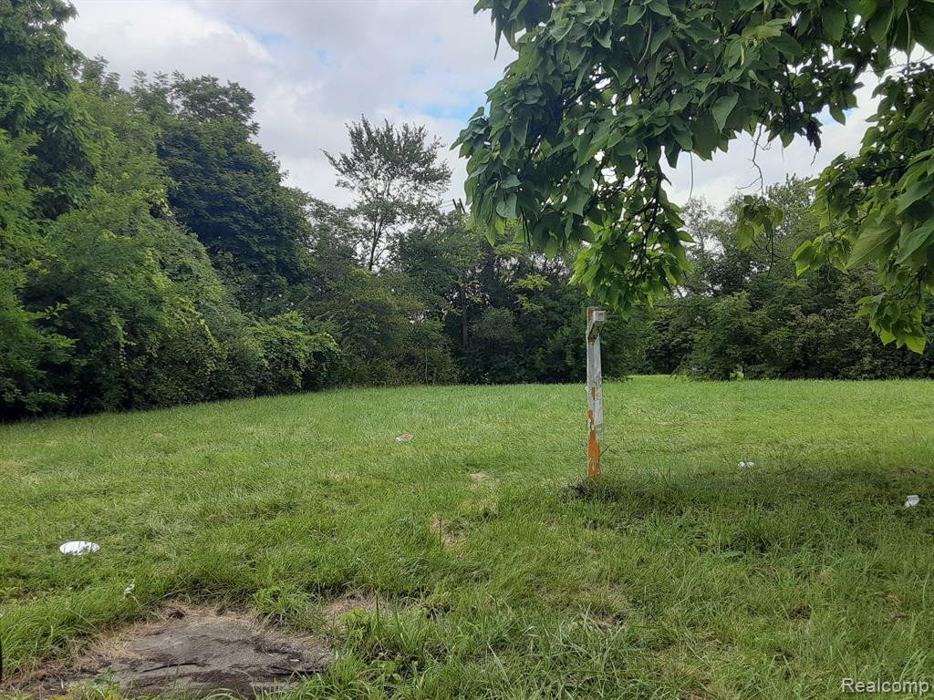 621 N Center Street UNIT Parcel A, Northville, MI, 48167