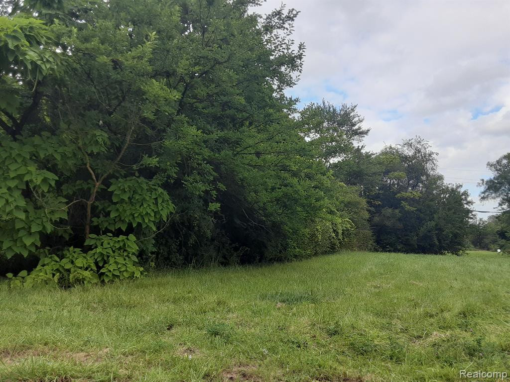 621 N Center Street UNIT Parcel A, Northville, MI, 48167