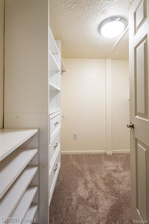 5394 BRIGHTON Road, Brighton, MI 48116 — Photo 50