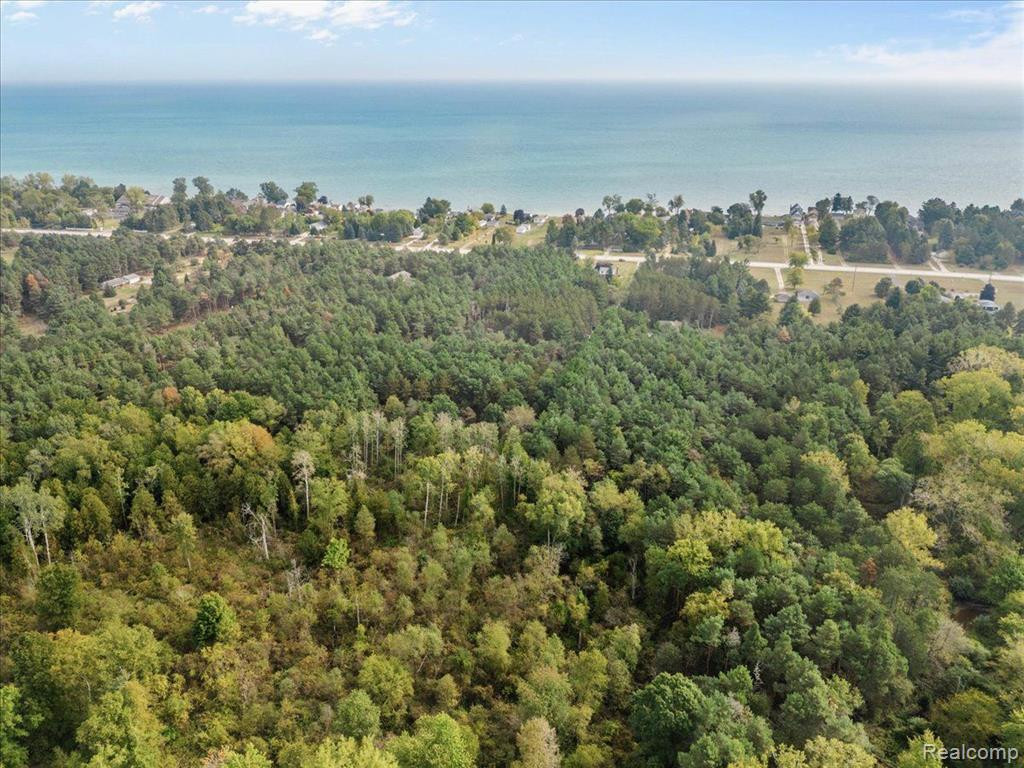8649 LAKESHORE Road, Burtchville, MI 48059 — Photo 44