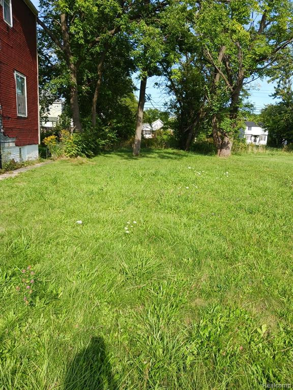 4320 ROHNS Street, Detroit, MI 48214 — Photo 12