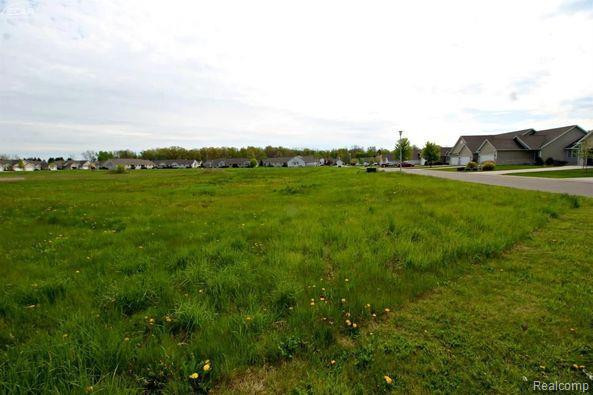 12058 INNSBRUCK, Clio, MI 48420 — Photo 3