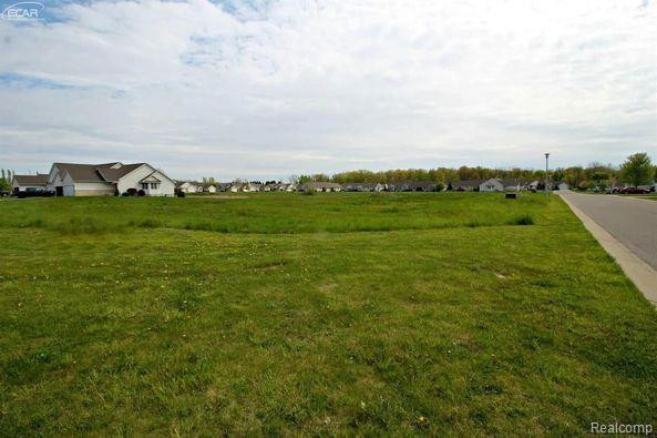 12058 INNSBRUCK, Clio, MI 48420 — Photo 4