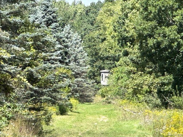 Lot 1 CLYDE Road, Howell, MI 48855 — Photo 20