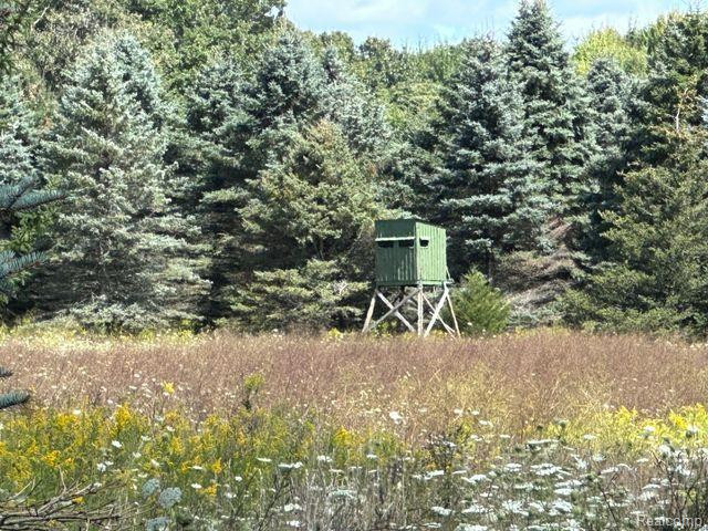 Lot 1 CLYDE Road, Howell, MI 48855 — Photo 21