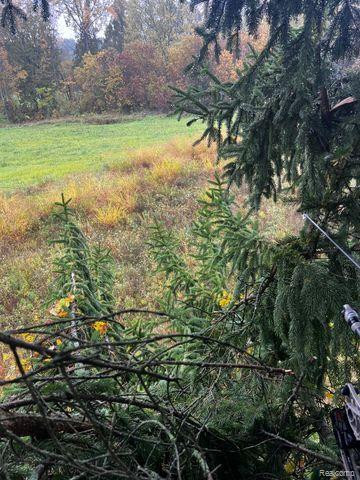Lot 1 CLYDE Road, Howell, MI 48855 — Photo 22