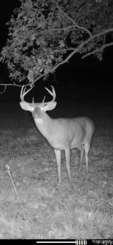 Lot 1 CLYDE Road, Howell, MI 48855 — Photo 24