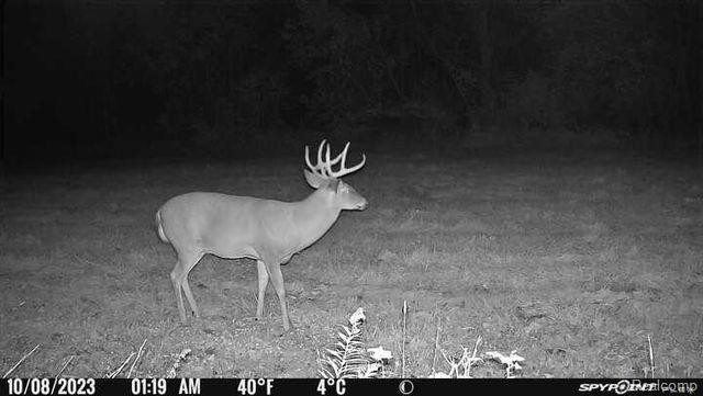 Lot 1 CLYDE Road, Howell, MI 48855 — Photo 29