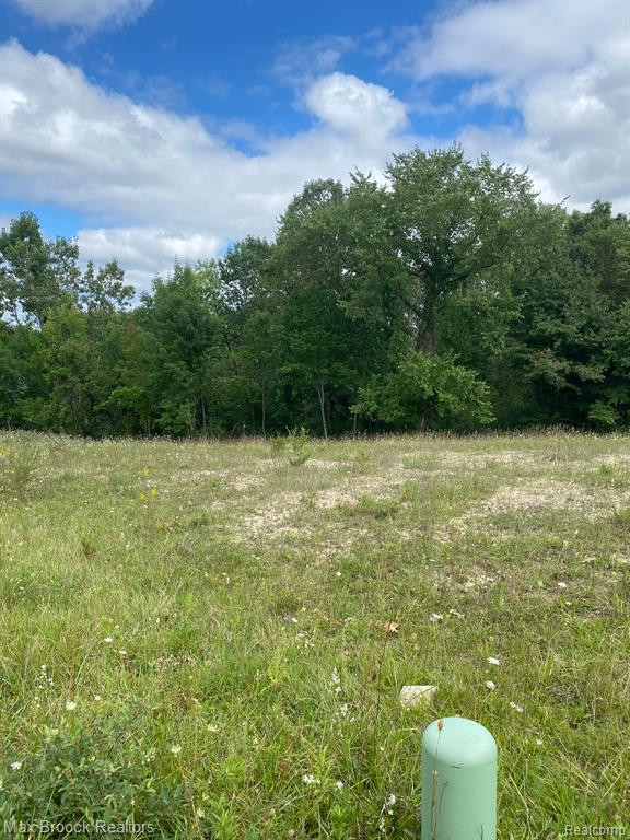 65 PRESERVE Drive, Fenton, MI 48430 — Photo 4
