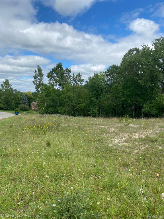 65 PRESERVE Drive, Fenton, MI 48430 — Photo 5