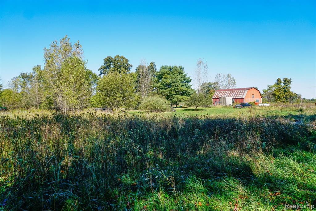 9060 BEARD Road, Byron, MI 48418 — Photo 3
