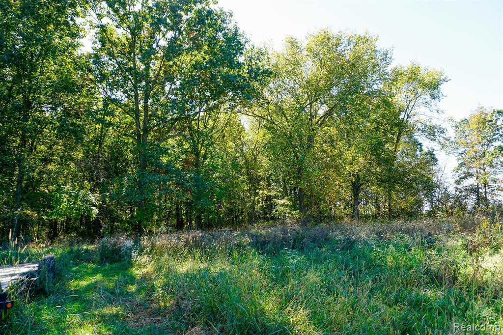 9060 BEARD Road, Byron, MI 48418 — Photo 27