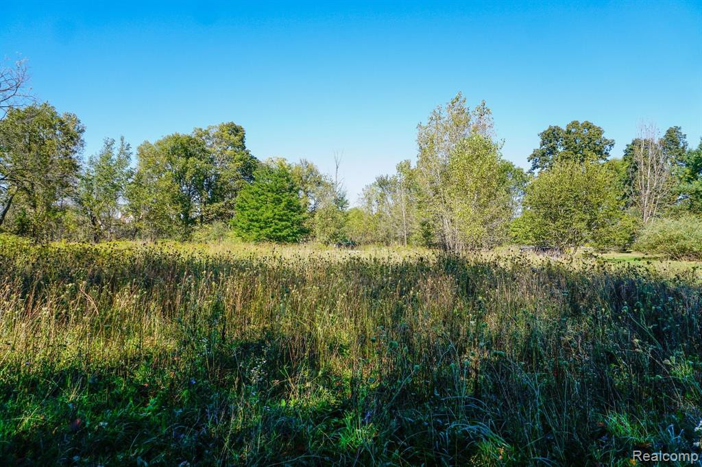 9060 BEARD Road, Byron, MI 48418 — Photo 28
