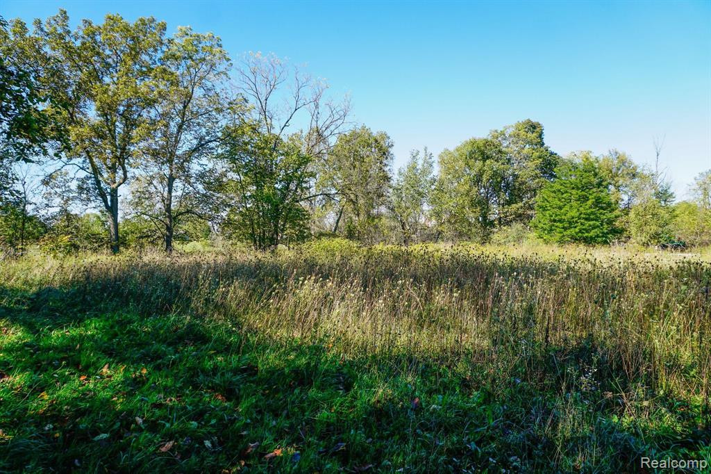 9060 BEARD Road, Byron, MI 48418 — Photo 29