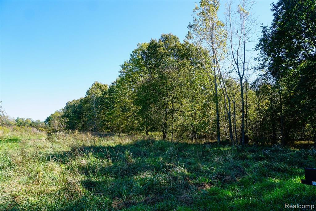 9060 BEARD Road, Byron, MI 48418 — Photo 30