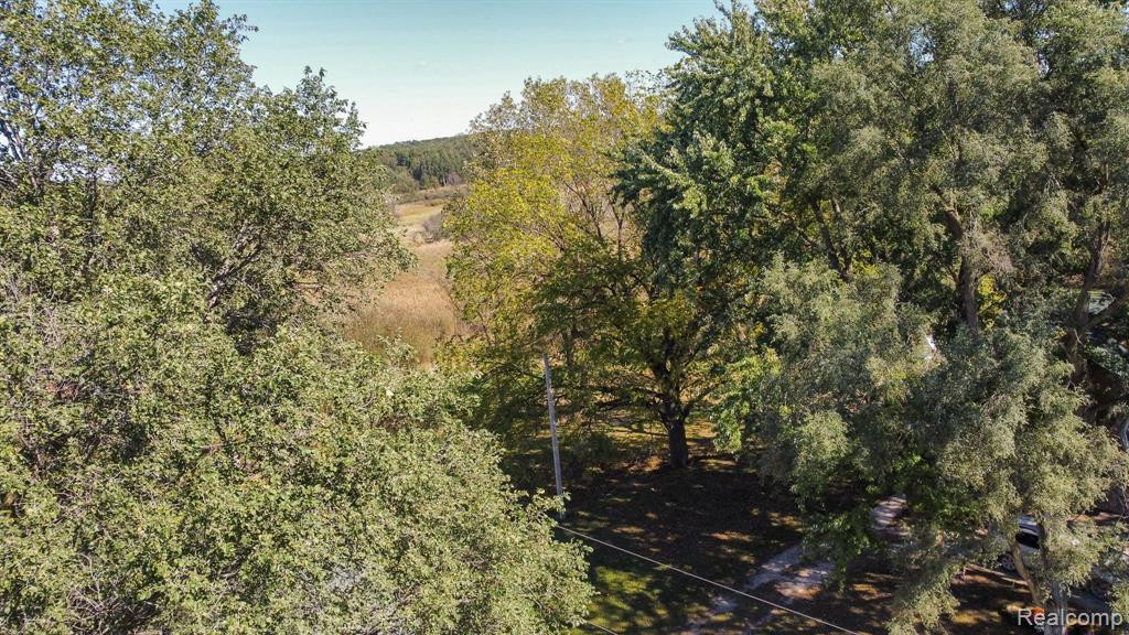 9060 BEARD Road, Byron, MI 48418 — Photo 32