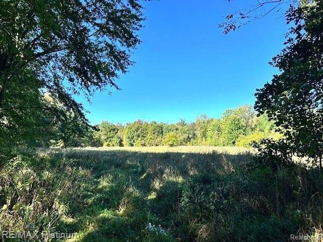 9463 Stow Road, Fowlerville, MI 48836 — Photo 8