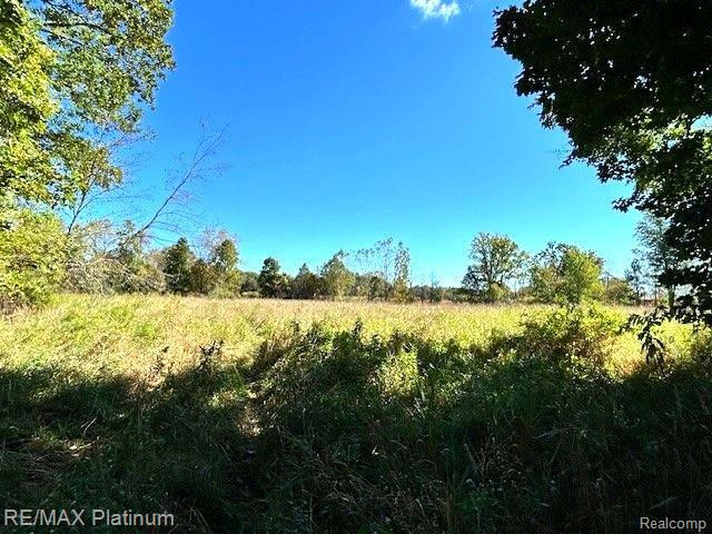 9463 Stow Road, Fowlerville, MI 48836 — Photo 9