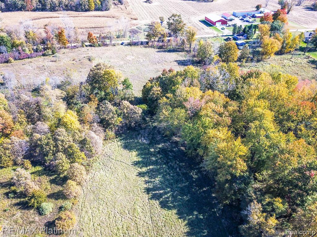 9463 Stow Road, Fowlerville, MI 48836 — Photo 13