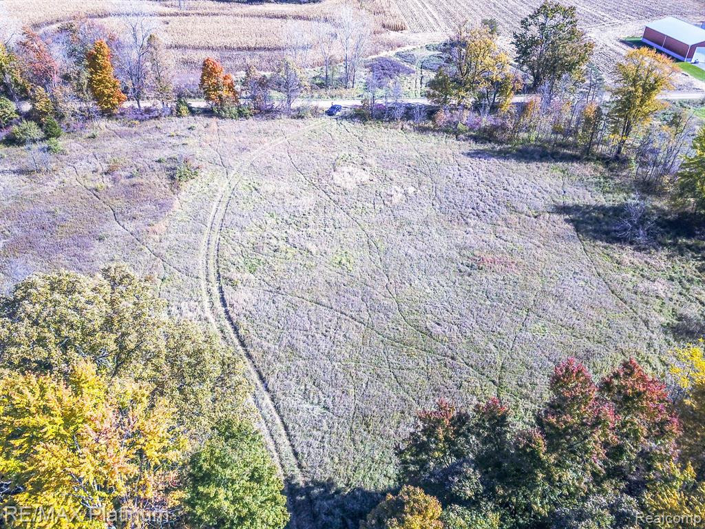 9463 Stow Road, Fowlerville, MI 48836 — Photo 14
