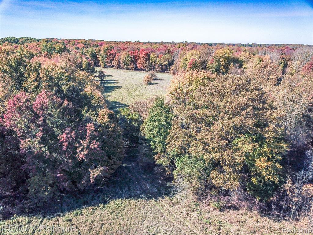 9463 Stow Road, Fowlerville, MI 48836 — Photo 15
