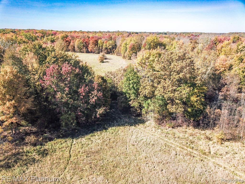 9463 Stow Road, Fowlerville, MI 48836 — Photo 16