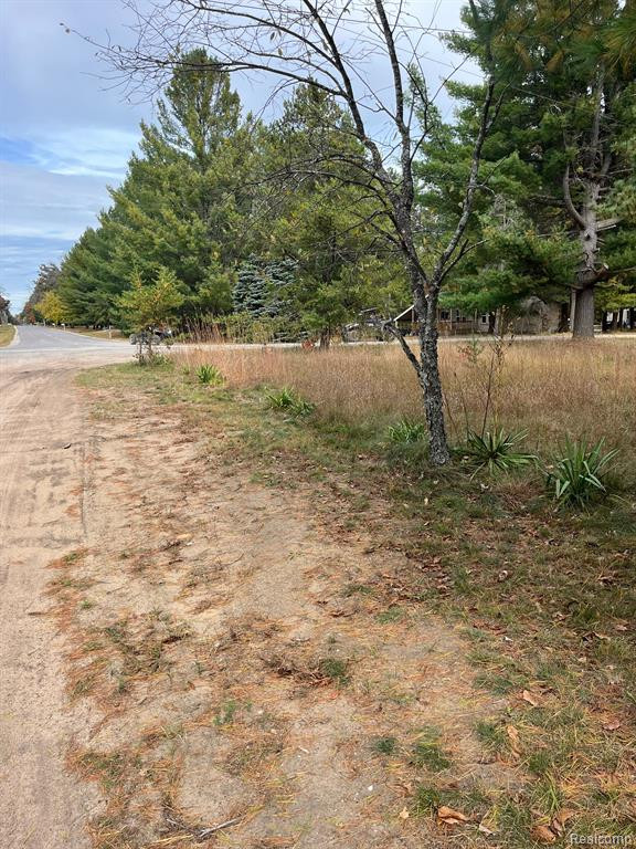5489 CURTIS Road, Hale, MI 48739 — Photo 19