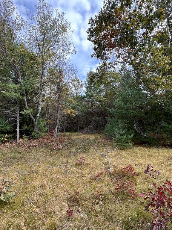 5489 CURTIS Road, Hale, MI 48739 — Photo 20