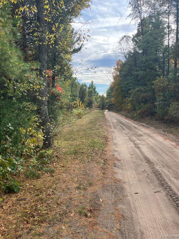 5489 CURTIS Road, Hale, MI 48739 — Photo 22