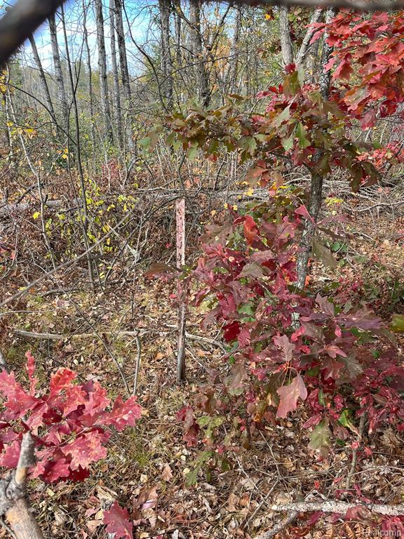 5489 CURTIS Road, Hale, MI 48739 — Photo 23