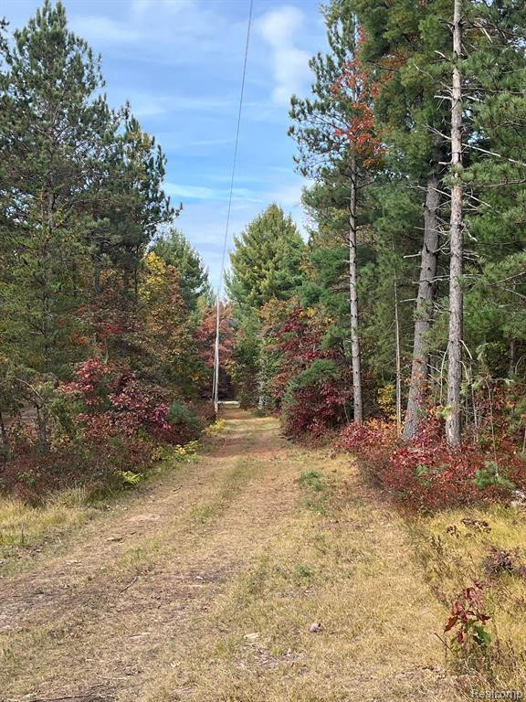5489 CURTIS Road, Hale, MI 48739 — Photo 24