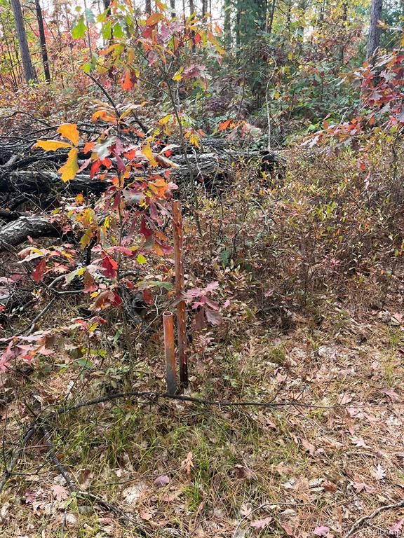 5489 CURTIS Road, Hale, MI 48739 — Photo 25