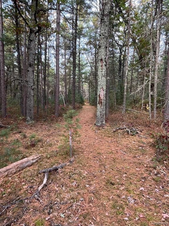 5489 CURTIS Road, Hale, MI 48739 — Photo 26