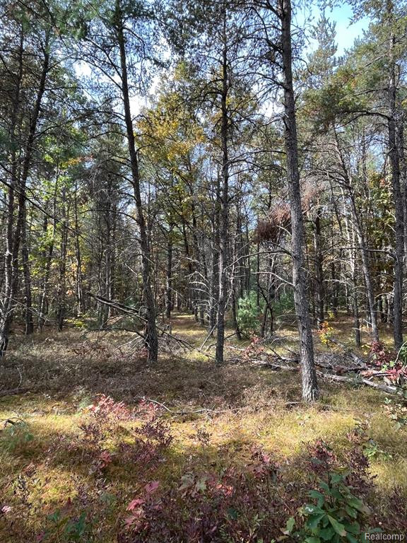 5489 CURTIS Road, Hale, MI 48739 — Photo 27