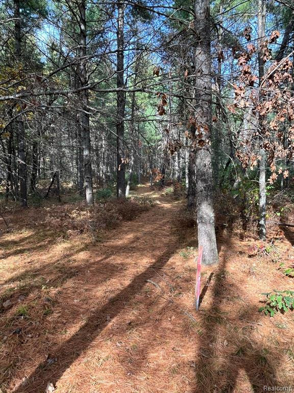 5489 CURTIS Road, Hale, MI 48739 — Photo 28