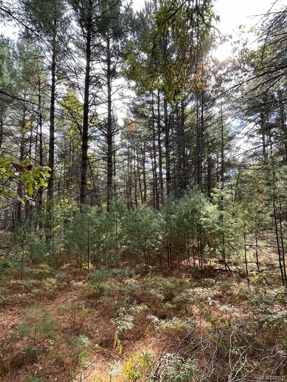5489 CURTIS Road, Hale, MI 48739 — Photo 29