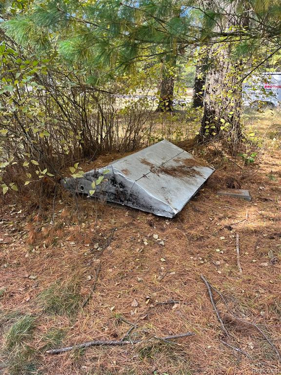 5489 CURTIS Road, Hale, MI 48739 — Photo 30