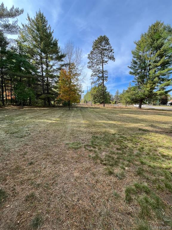 5489 CURTIS Road, Hale, MI 48739 — Photo 31