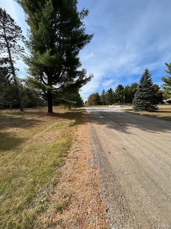 5489 CURTIS Road, Hale, MI 48739 — Photo 32
