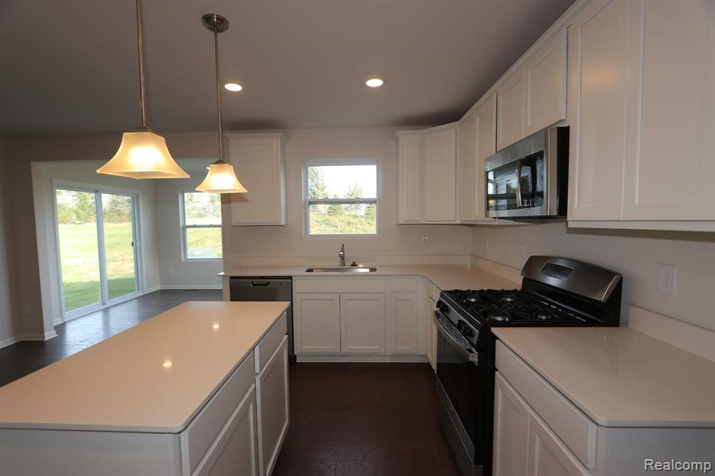 501 Elm Street, Chelsea, MI 48118 — Photo 5