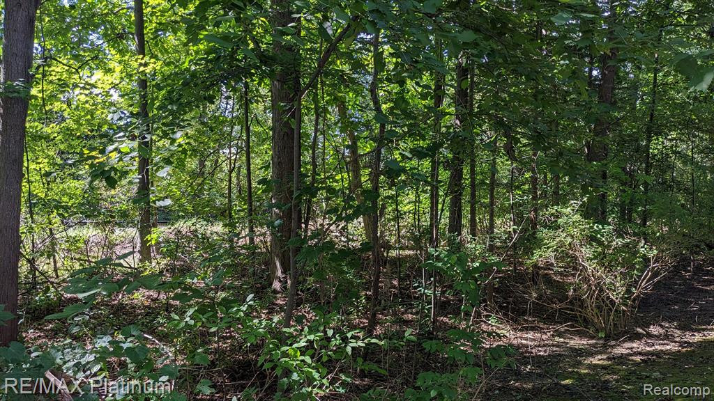 613 Curzon Court, 102, Howell, MI 48843 — Photo 45