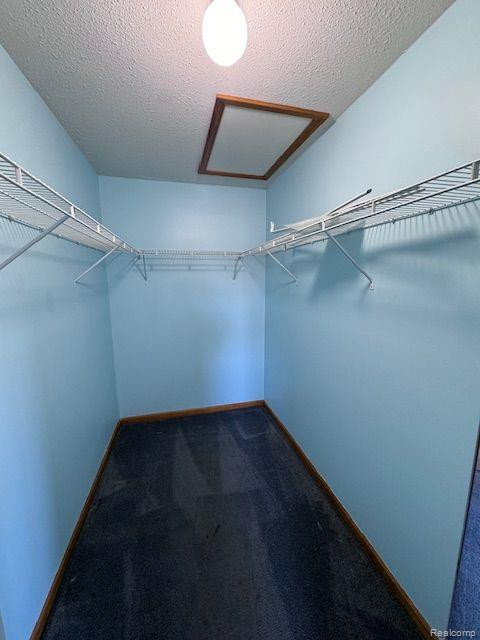 9752 S SAWGRASS Court, 48, Belleville, MI 48111 — Photo 13