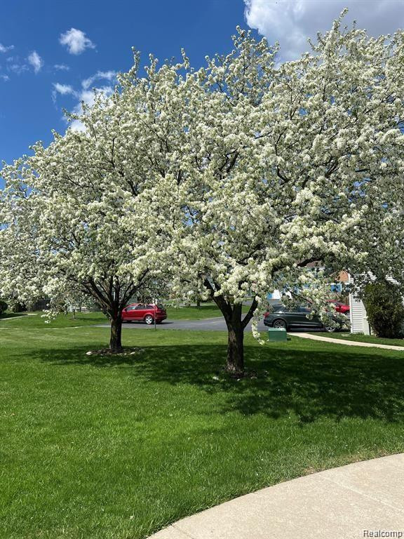 23629 N ROCKLEDGE, Novi, MI — Photo 26