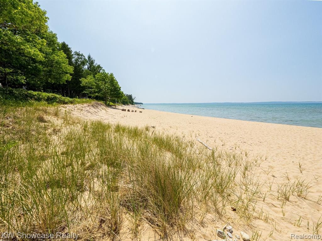 5146 LOWER SHORE Drive, Harbor Springs, MI 49740 — Photo 83