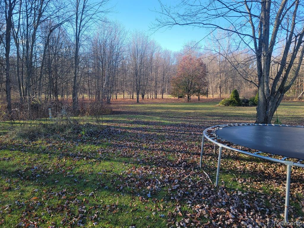 9081 BRANDON Road, Kenockee, MI 48006 — Photo 3