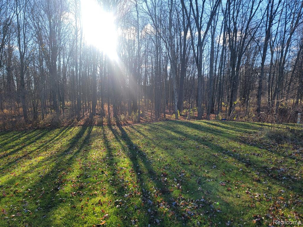9081 BRANDON Road, Kenockee, MI 48006 — Photo 4