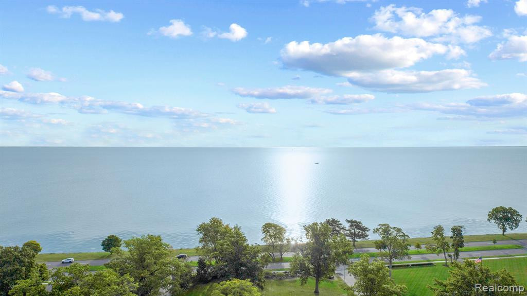 87 WEBBER, Grosse Pointe Shores, MI 48236 — Photo 9