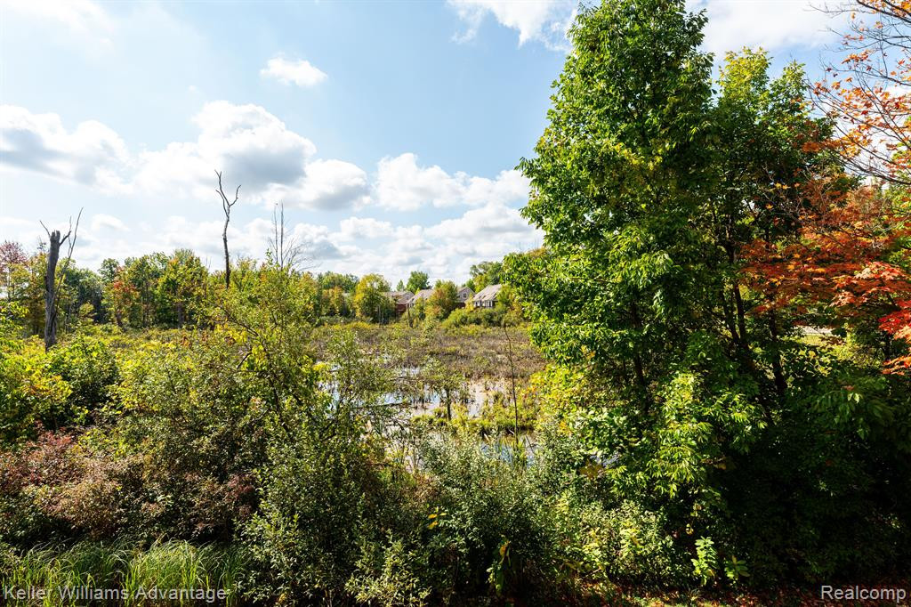 40638 Lenox Park Drive, Novi, MI 48377 — Photo 39